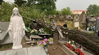 Zniszczone nagrobki w Wągrowcu