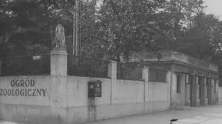 Wejście do zoo w 1934 r