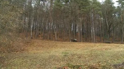 "Chłopcy zachowali się bardzo dzielnie"