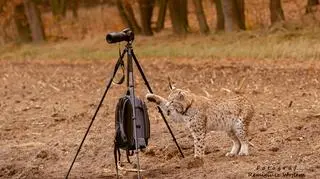 Cztery razy szturchnął łapą plecak