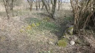Przed wiekami stał tu pierwszy tykociński klasztor