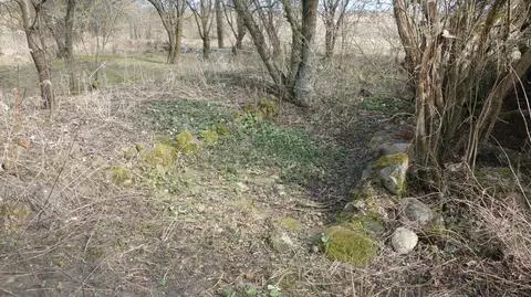 Kawałek łąki w rejestrze zabytków. Ziemia skrywa ślady po dawnym klasztorze 