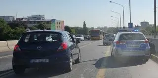 Policjanci zaopiekowali się potrąconym lisem