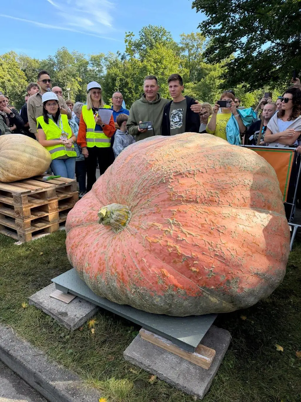 Dynia "Renia" waży 918 kilogramów
