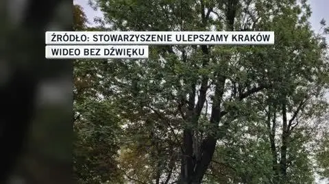 Stowarzyszenie Ulepszamy Kraków