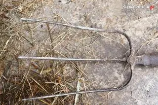 Męzczyzna miał zabić psa widlami