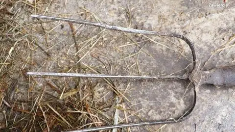 Męzczyzna miał zabić psa widlami