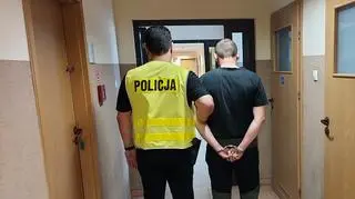 Wywieźli drewno z lasu, zostali zatrzymani