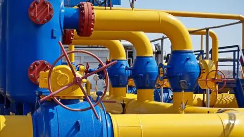 Climate minister: Poland can't accept EU Commission's gas cut proposal