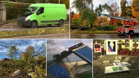 Hurricane-force winds kill four and cause havoc across Poland