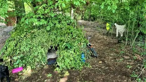 Ukrywał się przed policją, zamieszkał w leśnym szałasie
