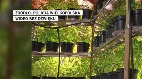 Policja Wielkopolska
