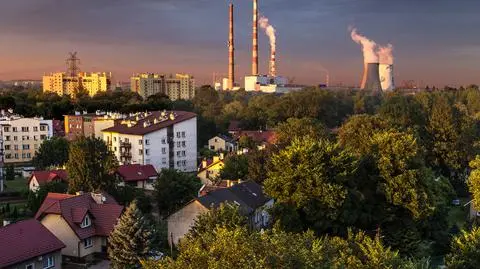 Raport: Polska państwem z najgorszym stanem środowiska w całej Unii Europejskiej