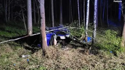 Potrąciła łosia, wypadła z drogi i rozbiła się na drzewie