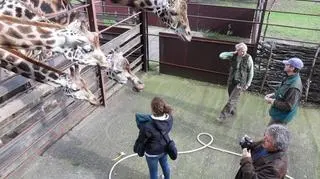 Zoo Ostrawa
