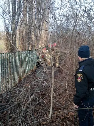 Sarna utknęła w ogrodzeniu przy ulicy Nowohuckiej w Krakowie