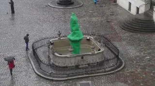 Prozerpina owinięta w zieloną siatkę czeka na kibiców Warty i Irlandii