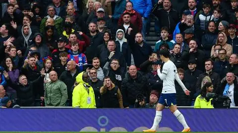 Rasistowski gest w stronę piłkarza Tottenhamu. Surowa kara dla kibica