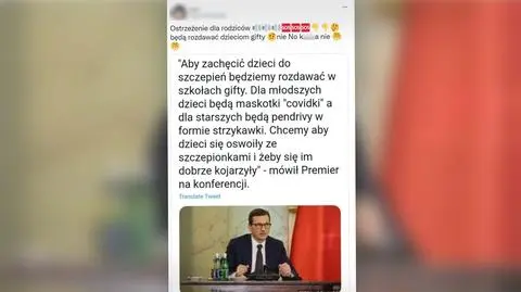 Premier da maskotki "covidki" i strzykawki-pendrive'y, by skłonić dzieci do szczepień? Sprawdzamy