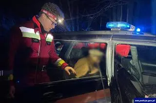 Służbom udało się odnaleźć 80-latkę