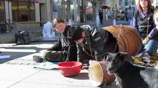 Protestujący weszli do bud i przywiązali się łańcuchami