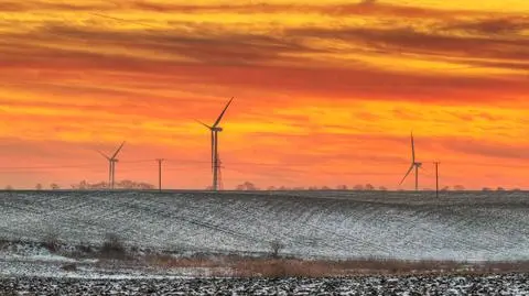 Operator nakazał ograniczenie produkcji prądu z farm wiatrowych