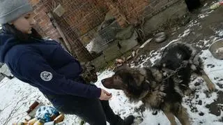Drops będzie teraz szukał nowego domu