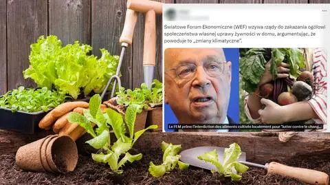 "Pożegnajmy się z przydomowymi ogrodami"? WEF nie chce zakazu
