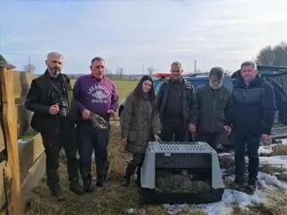 Zespół, który uratował basiora z Wilcząt