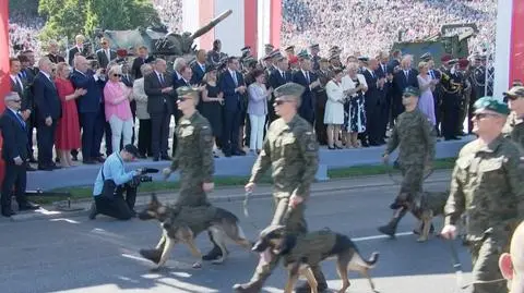 Udział psów w wojskowej defiladzie 15 sierpnia