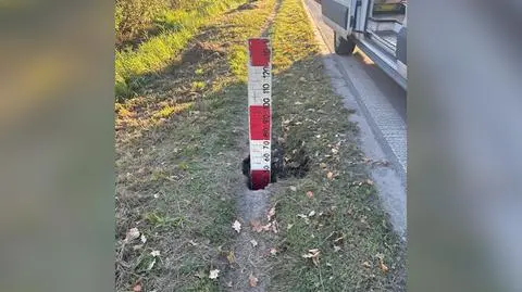 Głęboka na pół metra nora bobra tuż przy Radzymińskiej. Istniało ryzyko zapadnięcia się jezdni