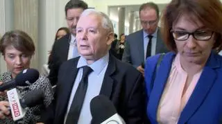 "Wilcze prawo opozycji"