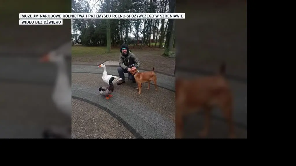 Muzeum Narodowe Rolnictwa i Przemysłu 