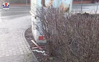 Porzucili krzyż na trawniku