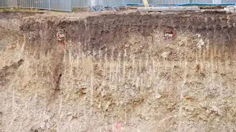 Odsłonięte fundamenty są płytkie. Mają jedynie kilkadziesiąt centymetrów wysokości