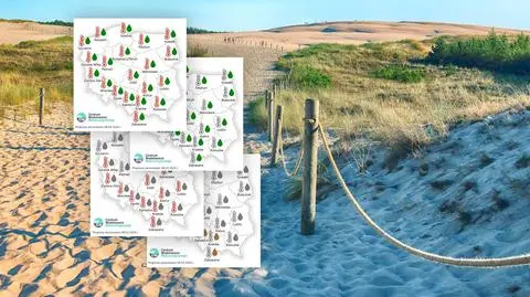 Jaka pogoda na początek lata? Może być cieplej niż zwykle