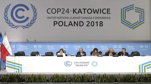 Czy szczyt uratował klimat?