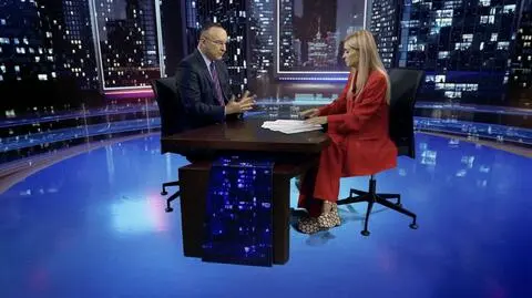 Afera wizowa, Niemcy wprowadzają kontrole na granicach. Kobosko: nie tylko Niemcy mają z tym kłopot 