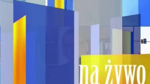 TVN24 Clean_20200327102642(4008)_aac