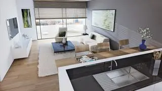 Wizualizacja jednego z apartamentów 