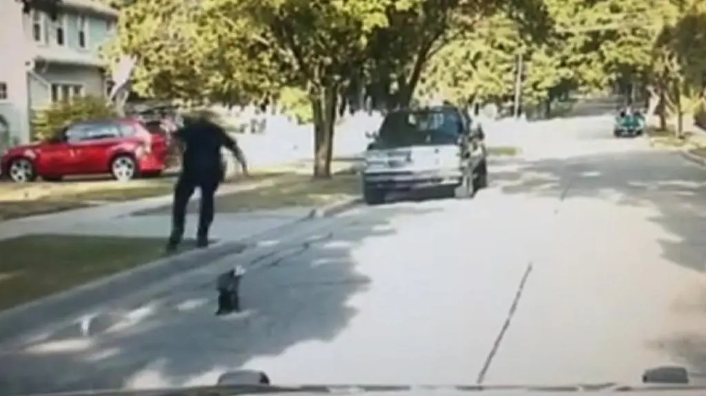 Niewdzięczny skunks i ratujący go policjant
