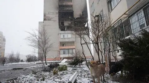 Ukraina, zniszczenia
