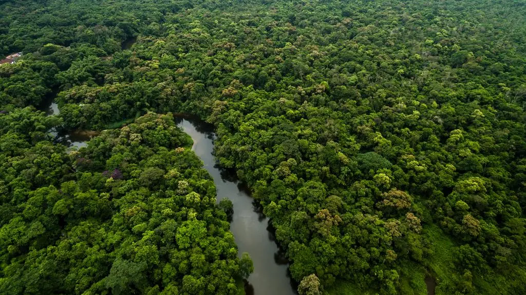 Owady nie są gotowe na to, co im szykujemy
