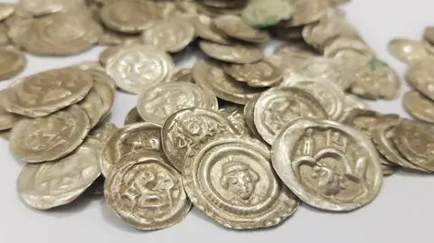 Dog finds clay pot filled with medieval coins near Wałbrzych