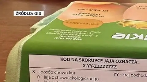 gis