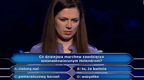 Co marchew zawdzięcza Holendrom? Pytanie z "Milionerów" za 125 tysięcy