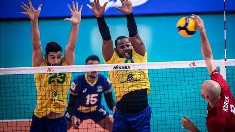 Popis Polaków. Brazylijczycy nie mieli nic do powiedzenia