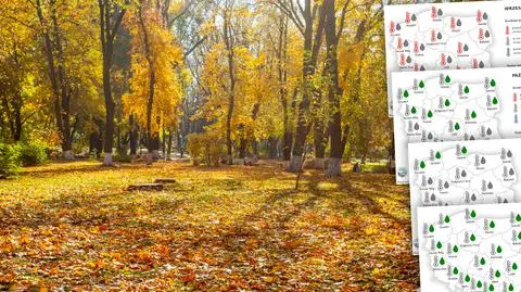 Jaka pogoda czeka nas jesienią? Długoterminowa prognoza IMGW