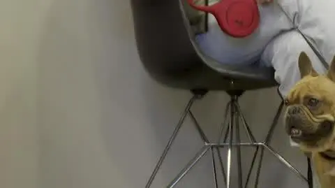 0302N399XR PIS DNZ WIECZOREK