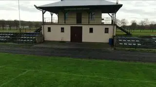 Psy pojawiły się na stadionie